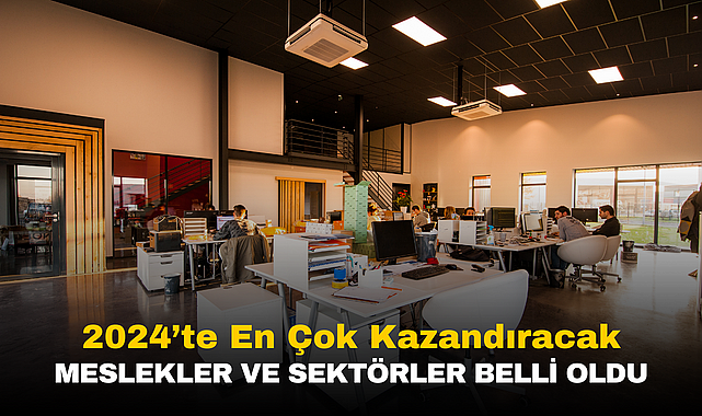 2024 Yılında Türkiye’de Yükselen Meslekler: Hangi Sektörler Öne Çıkıyor?